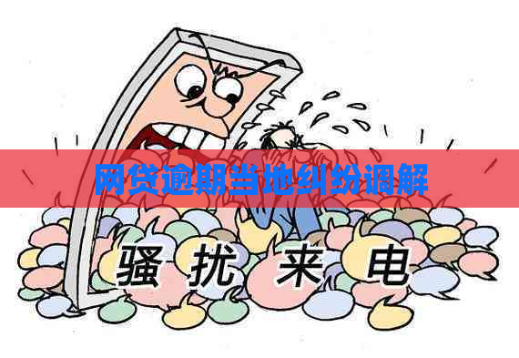 网贷逾期当地纠纷调解