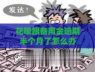白条跟备用金逾期半个月了怎么办