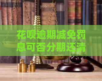 白条逾期减免罚息可否分期还清