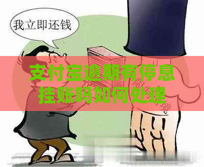 信用卡逾期有停息挂账吗如何处理