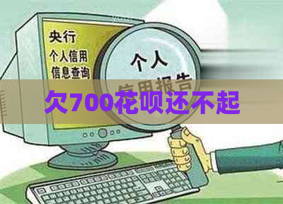 欠700白条还不起