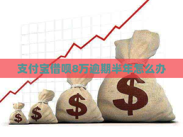 信用卡信用卡8万逾期半年怎么办