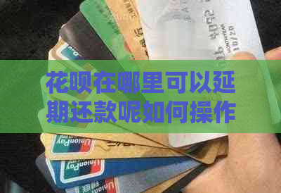 白条在哪里可以延期还款呢如何操作
