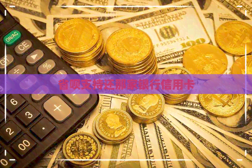 省呗支持还那家银行信用卡
