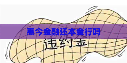 惠今金融还本金行吗 惠今金融还本金行吗