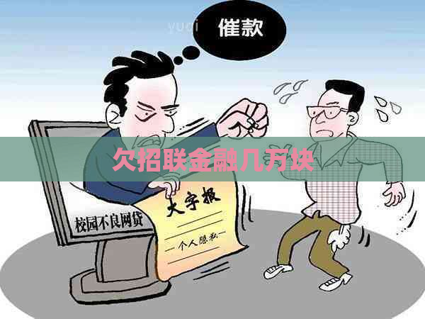 欠招联金融几万块
