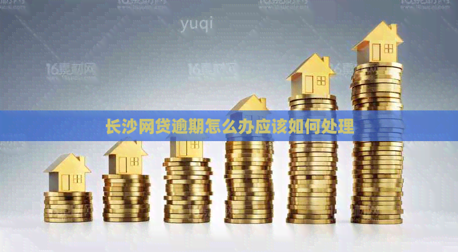 长沙网贷逾期怎么办应该如何处理
