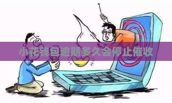 小花钱包逾期多久会停止
