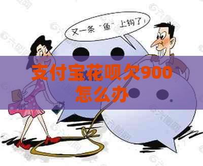支付宝花呗欠900怎么办 支付宝花呗欠900怎么办