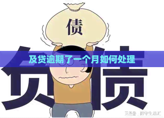 及贷逾期了一个月如何处理