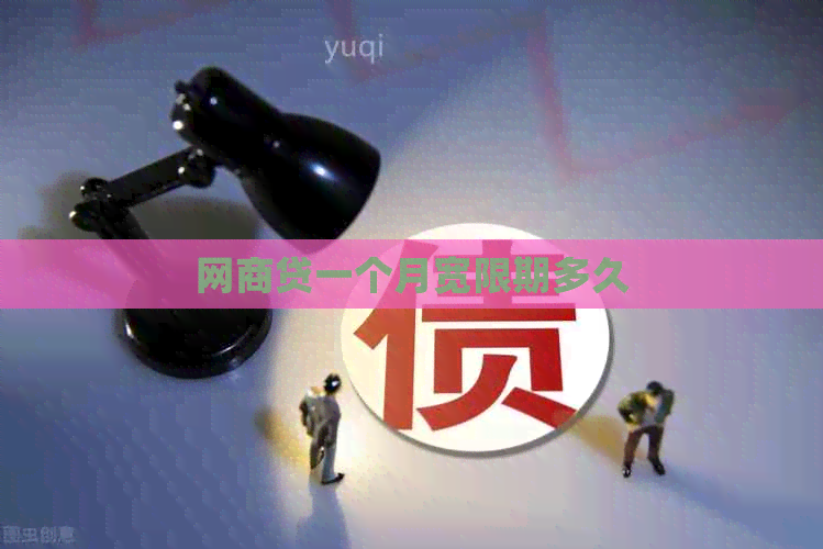 白条贷一个月宽限期多久