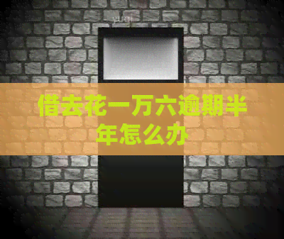 借去花一万六逾期半年怎么办