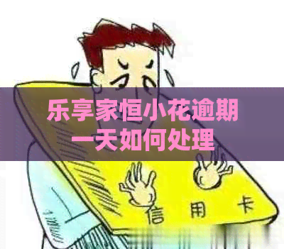 乐享家恒小花逾期一天如何处理