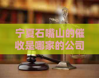 宁夏石嘴山的是哪家的公司