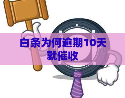 白条为何逾期10天就