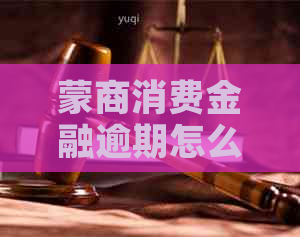 蒙商消费金融逾期怎么还是的方式