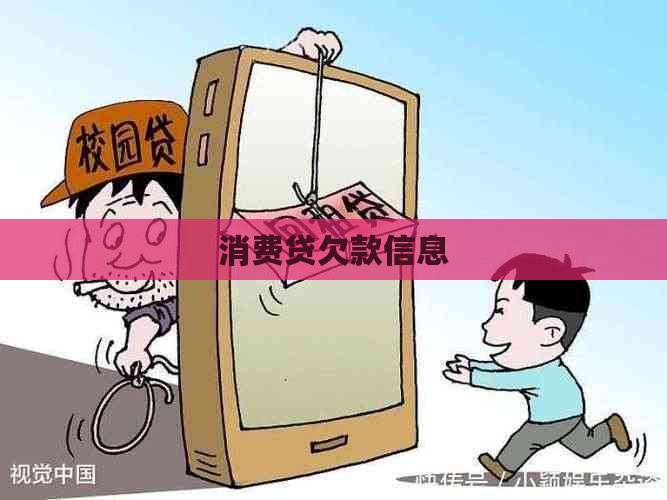 消费贷欠款信息