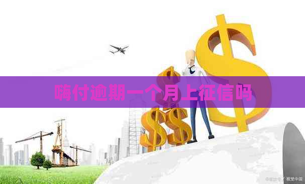 嗨付逾期一个月上吗