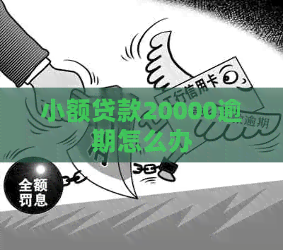 小额贷款20000逾期怎么办
