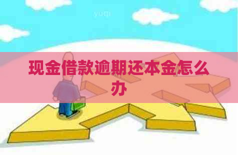 现金借款逾期还本金怎么办