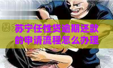 苏宁任性贷逾期还款的申请流程怎么办理