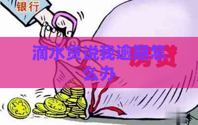 滴水贷说我逾期怎么办