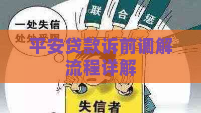 平安贷款诉前调解流程详解