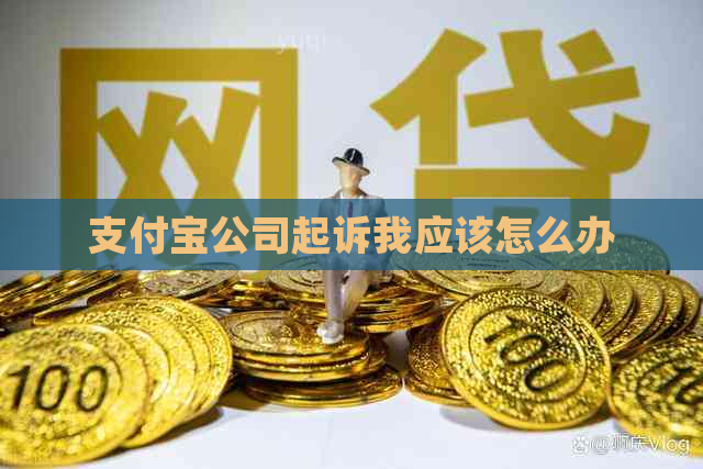 支付宝公司起诉我应该怎么办