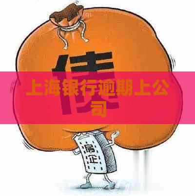 上海银行逾期上公司
