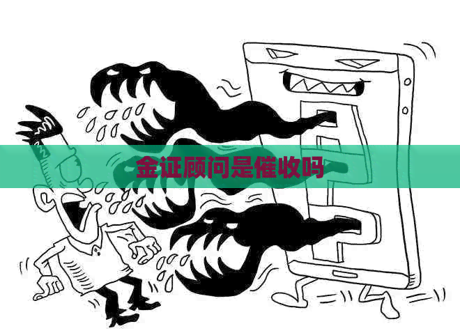 金证顾问是吗