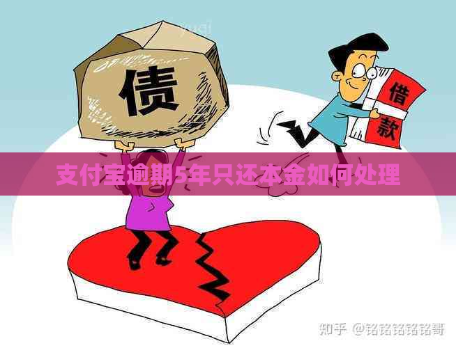 支付宝逾期5年只还本金如何处理