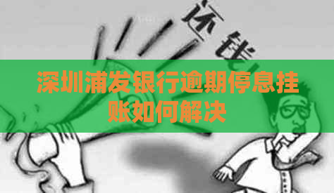 深圳浦发银行逾期停息挂账如何解决