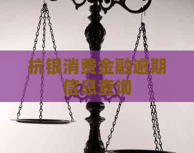 杭银消费金融逾期信息查询