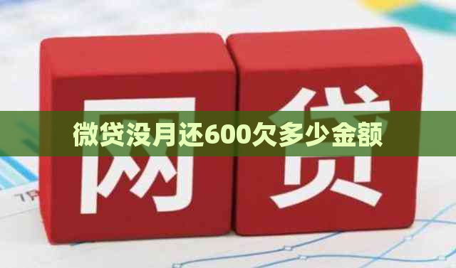 微贷没月还600欠多少金额