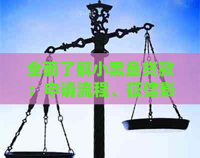 全面了解小黑鱼贷款：申请流程、影响及注意事项