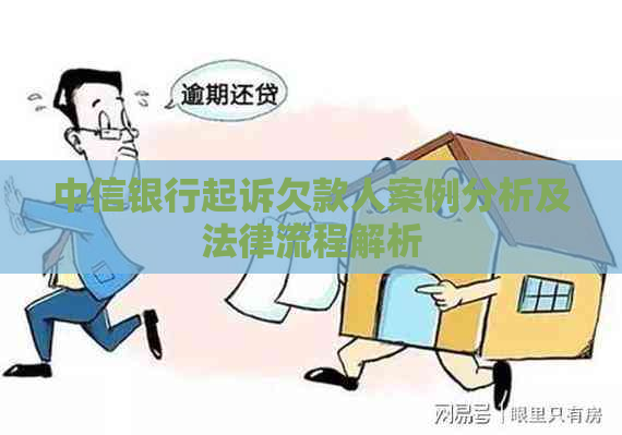 中信银行起诉欠款人案例分析及法律流程解析