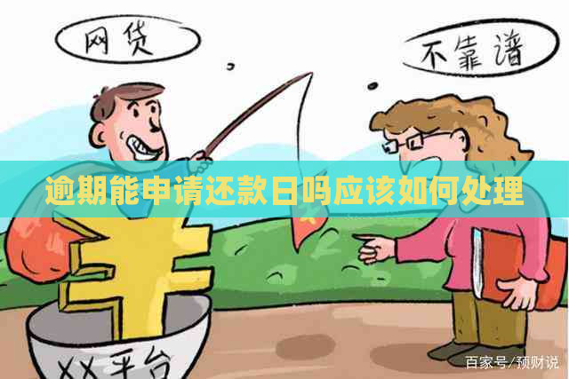 逾期能申请还款日吗应该如何处理