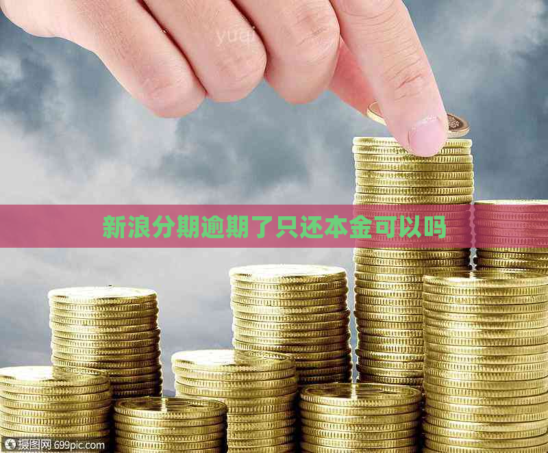 新浪分期逾期了只还本金可以吗 新浪分期逾期了只还本金可以吗