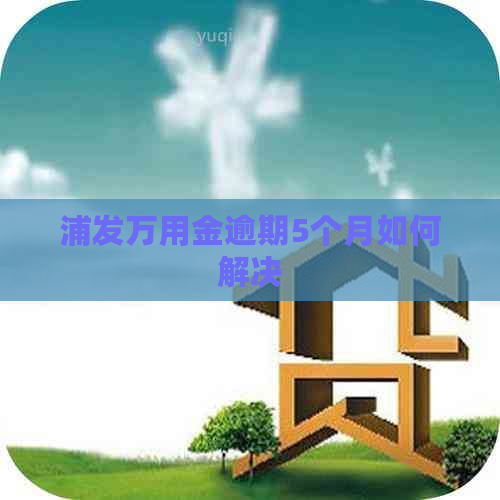 浦发万用金逾期5个月如何解决