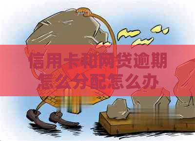 信用卡和网贷逾期怎么分配怎么办
