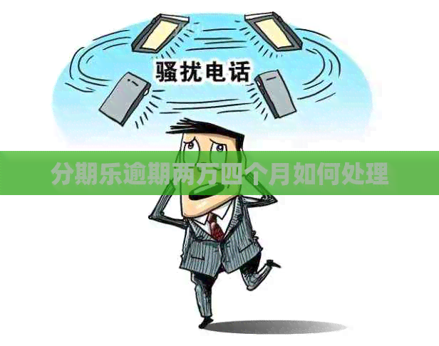 逾期两万四个月如何处理
