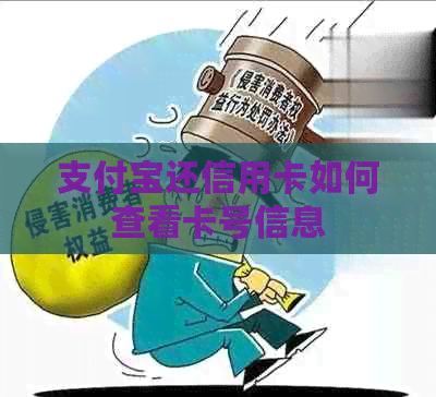 支付宝还信用卡如何查看卡号信息