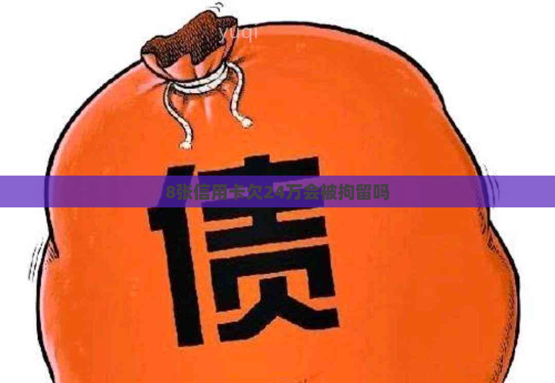 8张信用卡欠24万会被拘留吗