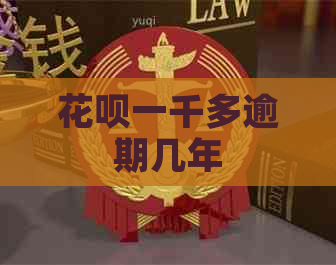 白条一千多逾期几年
