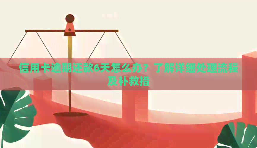 信用卡逾期还款6天怎么办？了解详细处理流程及补救措