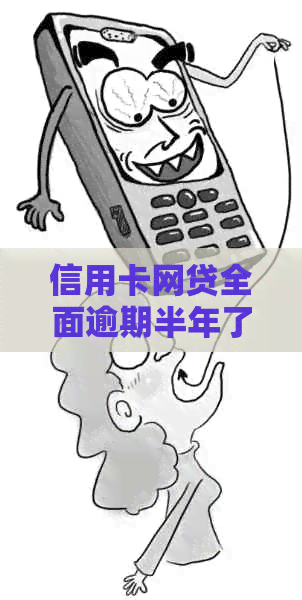 信用卡网贷全面逾期半年了怎么办