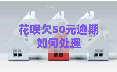 白条欠50元逾期如何处理