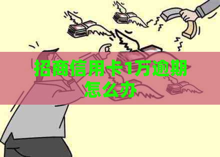 招商信用卡1万逾期怎么办 招商信用卡1万逾期怎么办