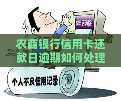 农商银行信用卡还款日逾期如何处理