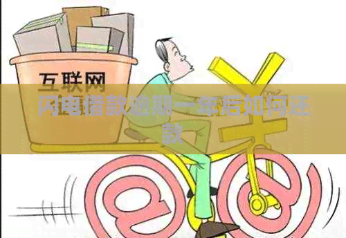 闪电借款逾期一年后如何还款